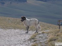 2022-10-04 Dal Redentore al Vettore 517